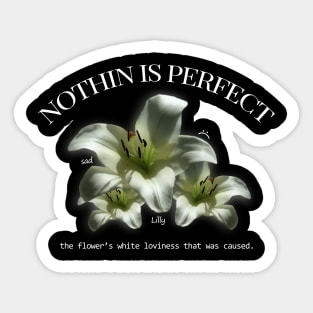 Nothing is perfect Sticker